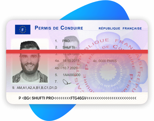 Driving Licence