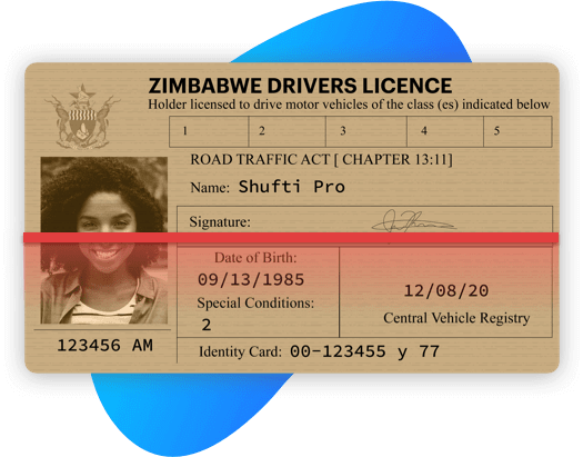 Driving License