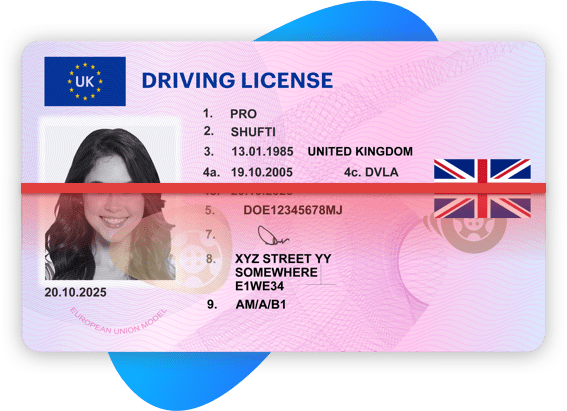 UK Driving license