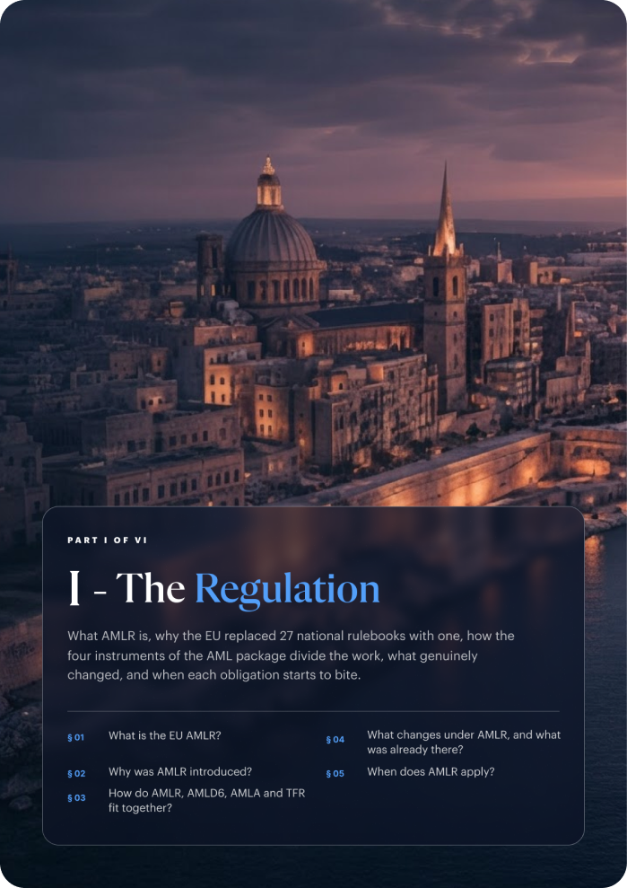 EU AMLR guide — page