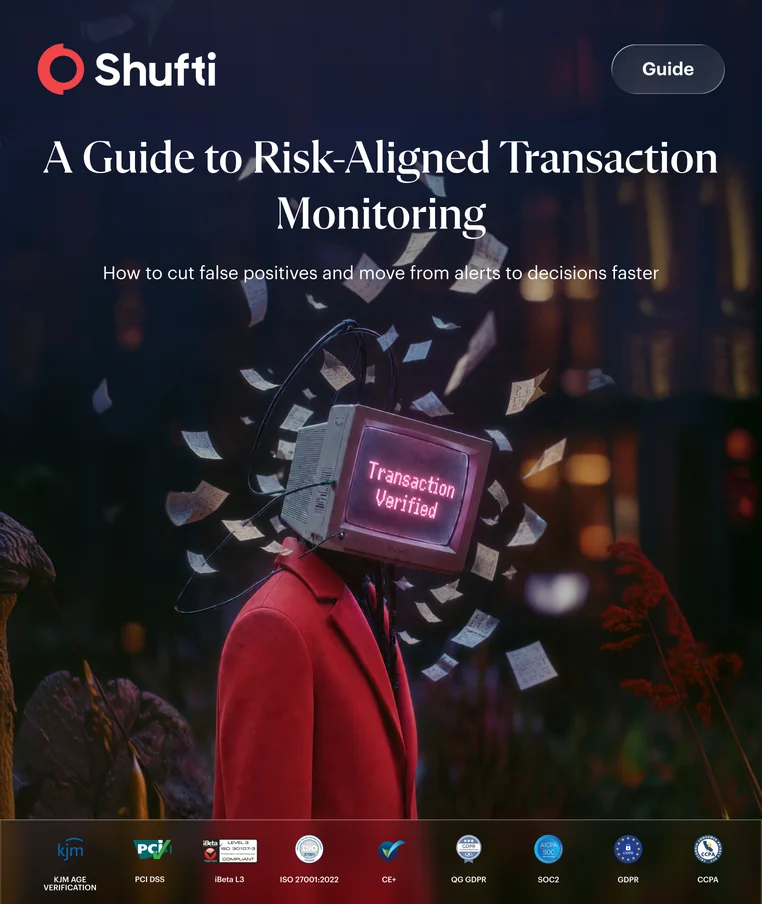 A Guide to Risk-Aligned Transaction Monitoring &mdash; guide cover