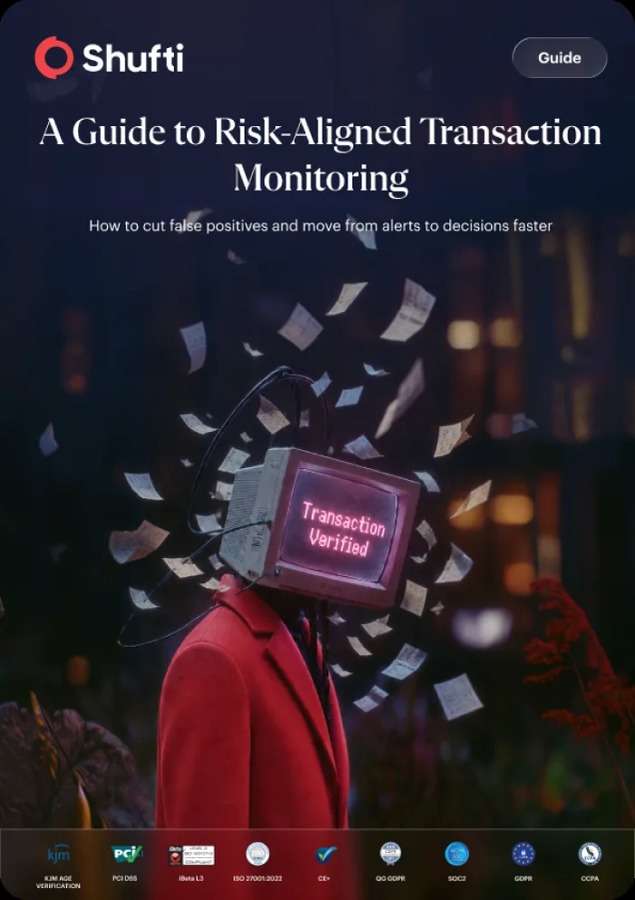 A Guide to Risk-Aligned Transaction Monitoring &mdash; guide cover