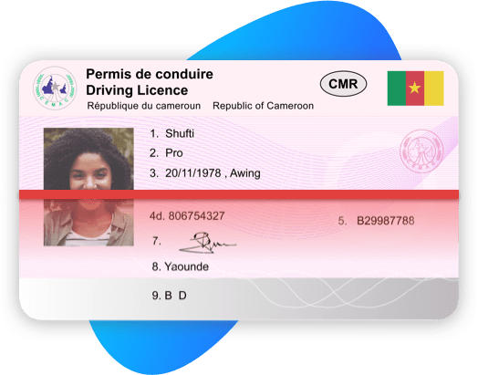 cameroon driving license