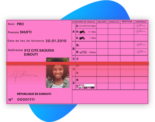 djibouti driving license