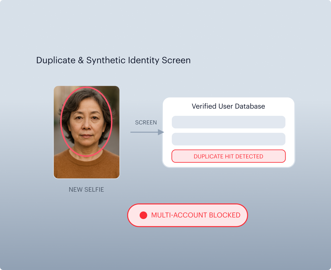 Duplicate and Synthetic Detection