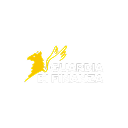 Guardia di Finanza