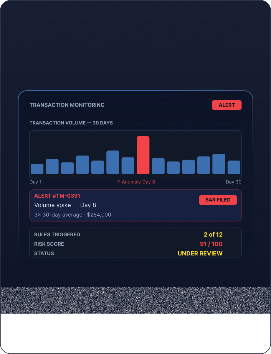 Transaction Monitoring mockup
