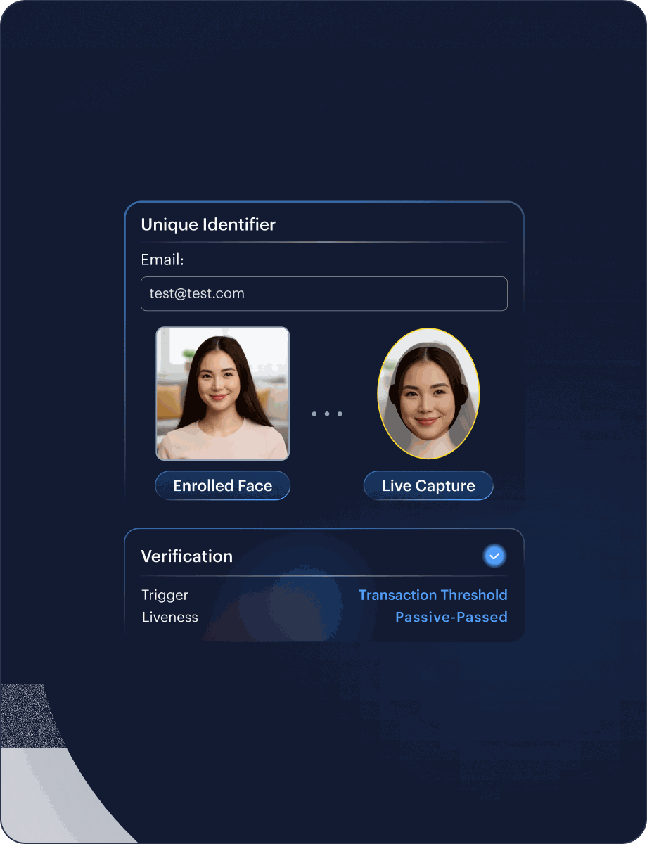 Biometric Face Authentication KYC interface