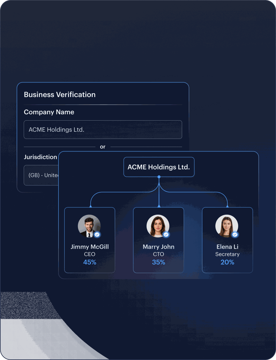 Business Verification KYC interface