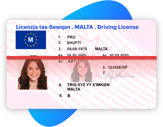 malta driving license