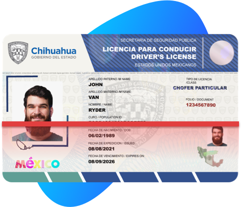 maxi-driving-license