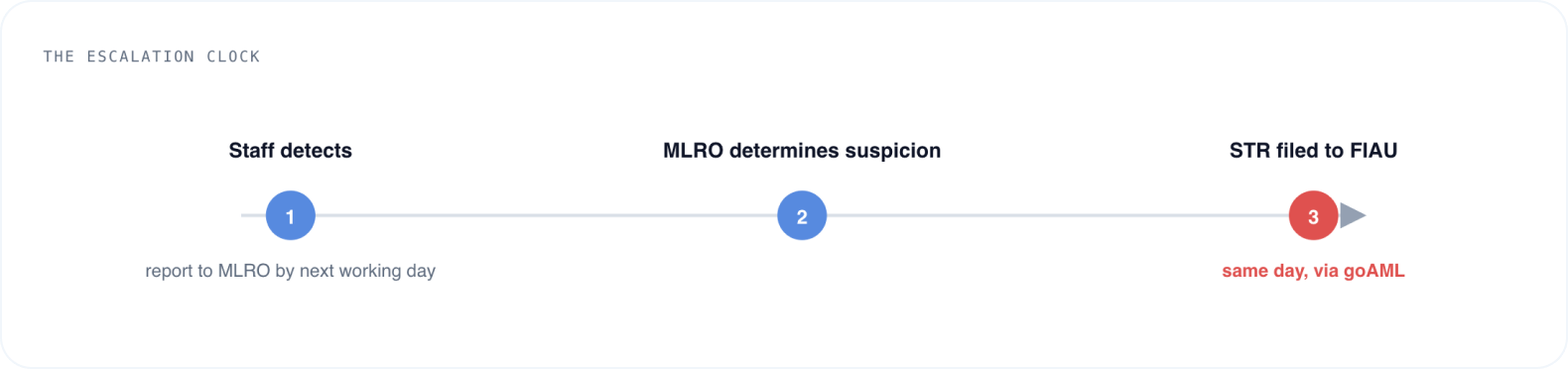How STR reporting works under Malta's same-day rule