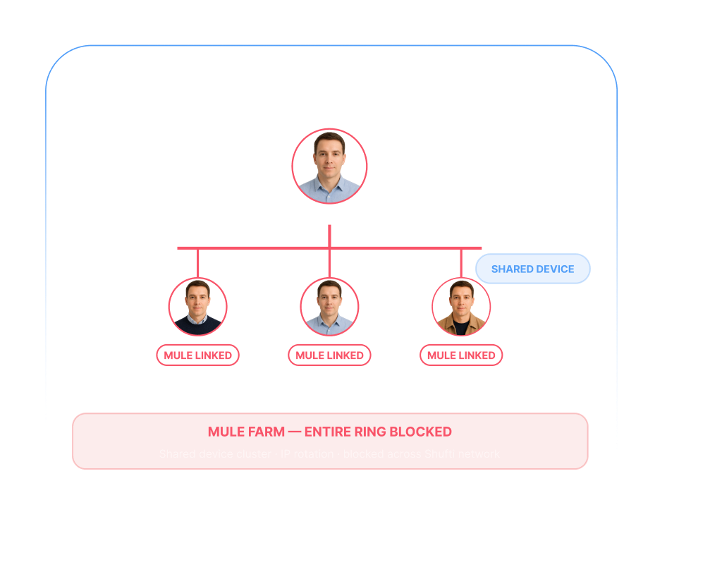 Mule Farm Network Detection &mdash; shared devices, IPs, and residential proxies linking dozens of accounts into a ring graph