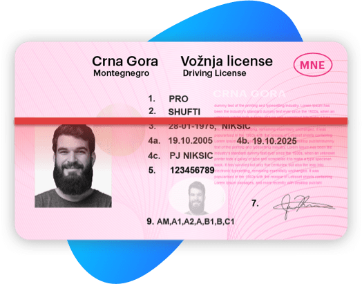 montenegro driving license