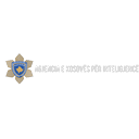 Kosovo Intelligence Agency (AKI)