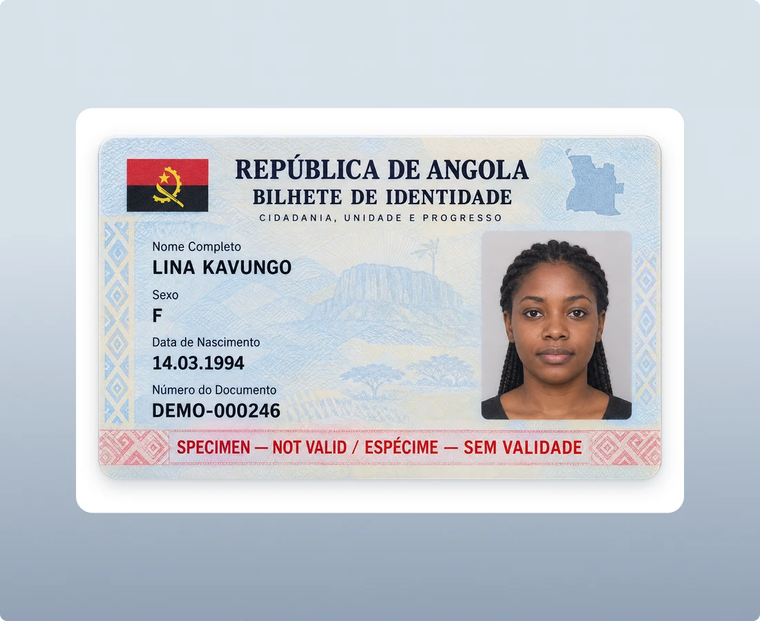 Bilhete de Identidade (BI) and Government Record Check