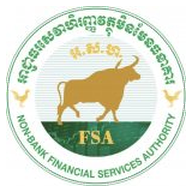 Non-Bank Financial Services Authority (NBFSA)