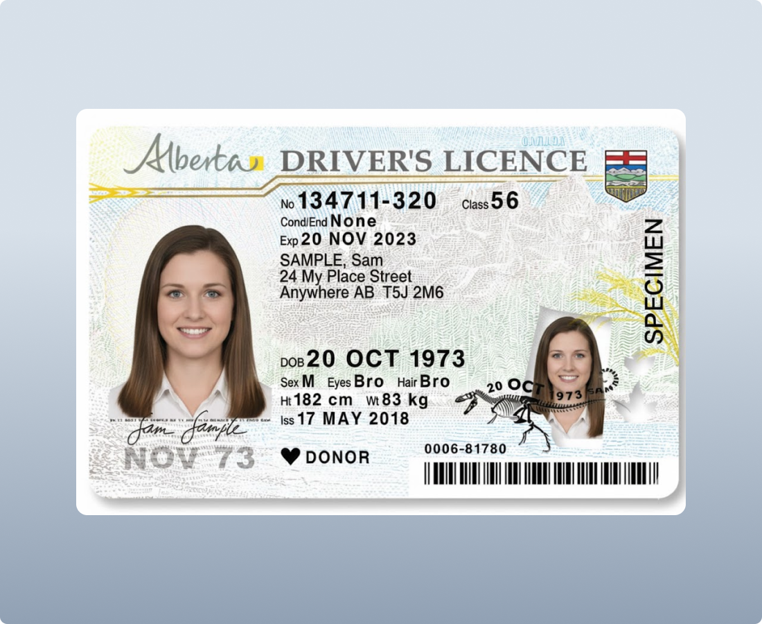 zaigzagaimagesnew-img