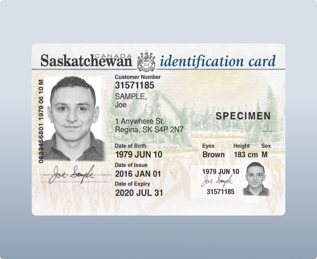 zaigzagaimagesnew-img