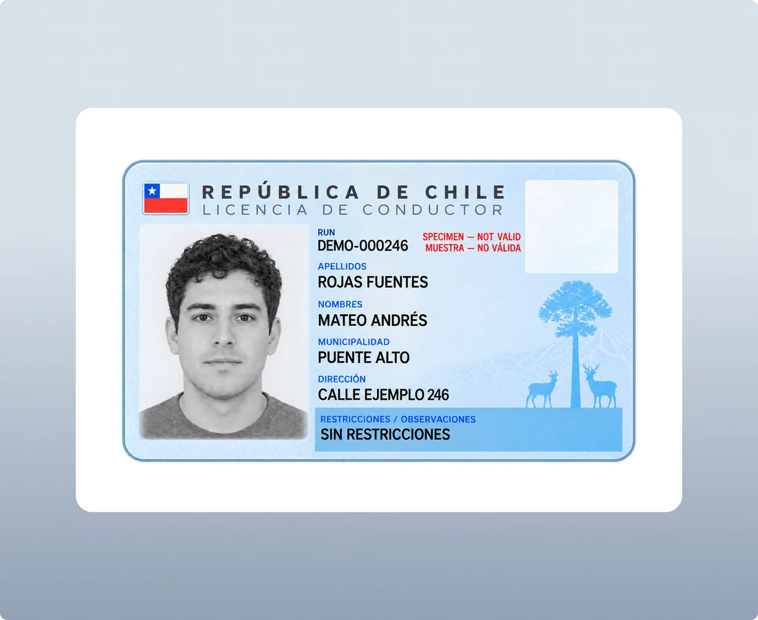 Chilean Driving Licence