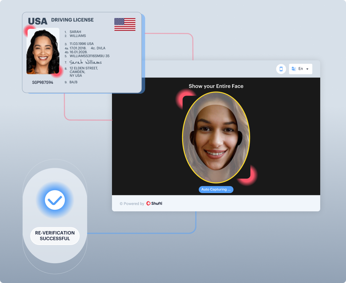 zaigzagaimagesnew-img