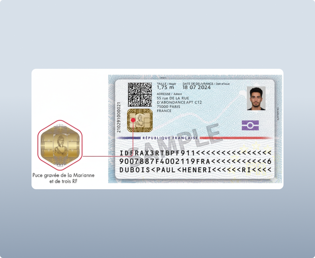 zaigzagaimagesnew-img