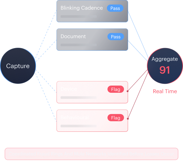 Privacy architecture mockup — on-device biometric processing with GDPR/EDPB alignment.