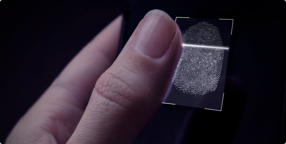 Advanced Japanese name handling