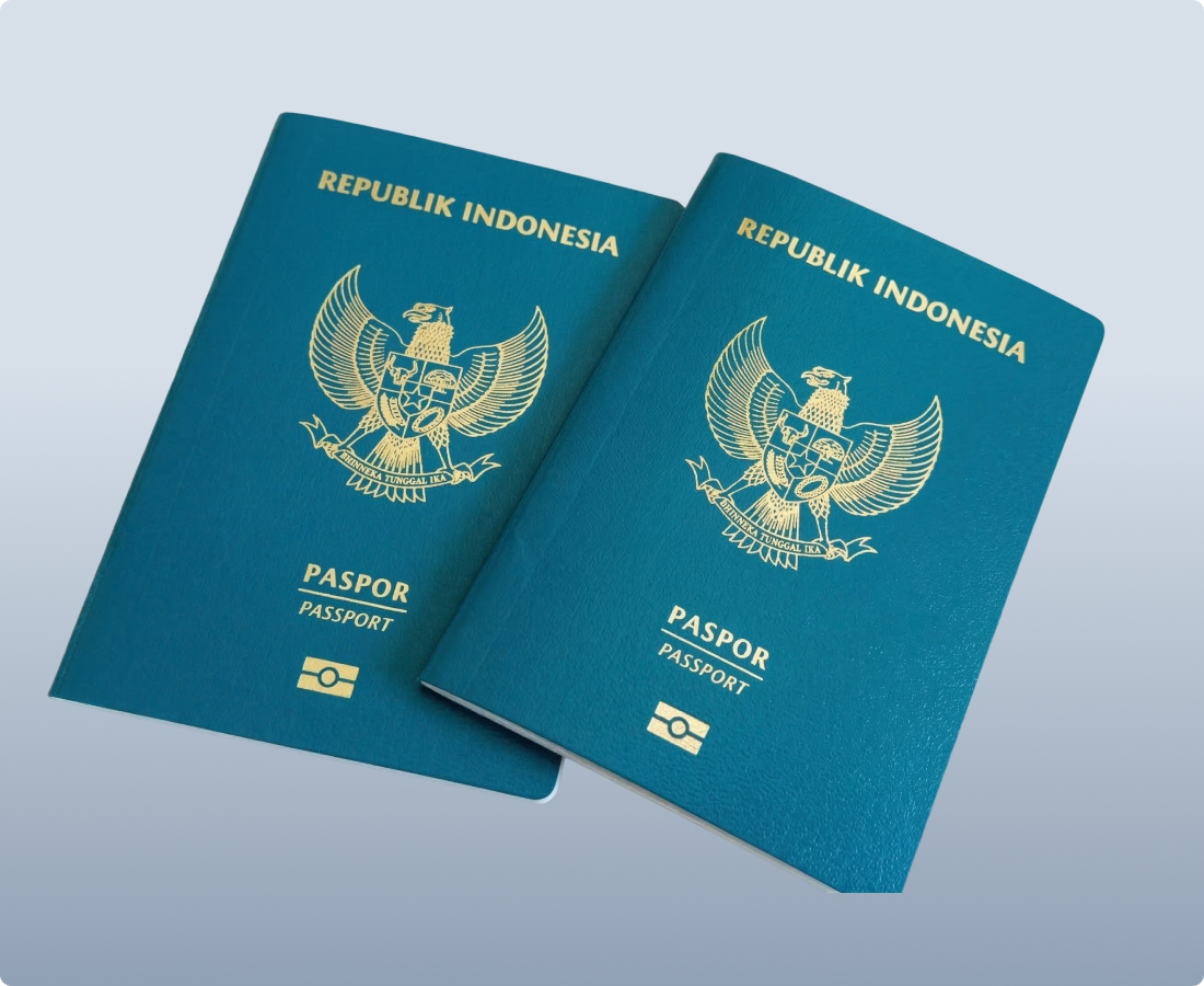 zaigzagaimagesnew-img