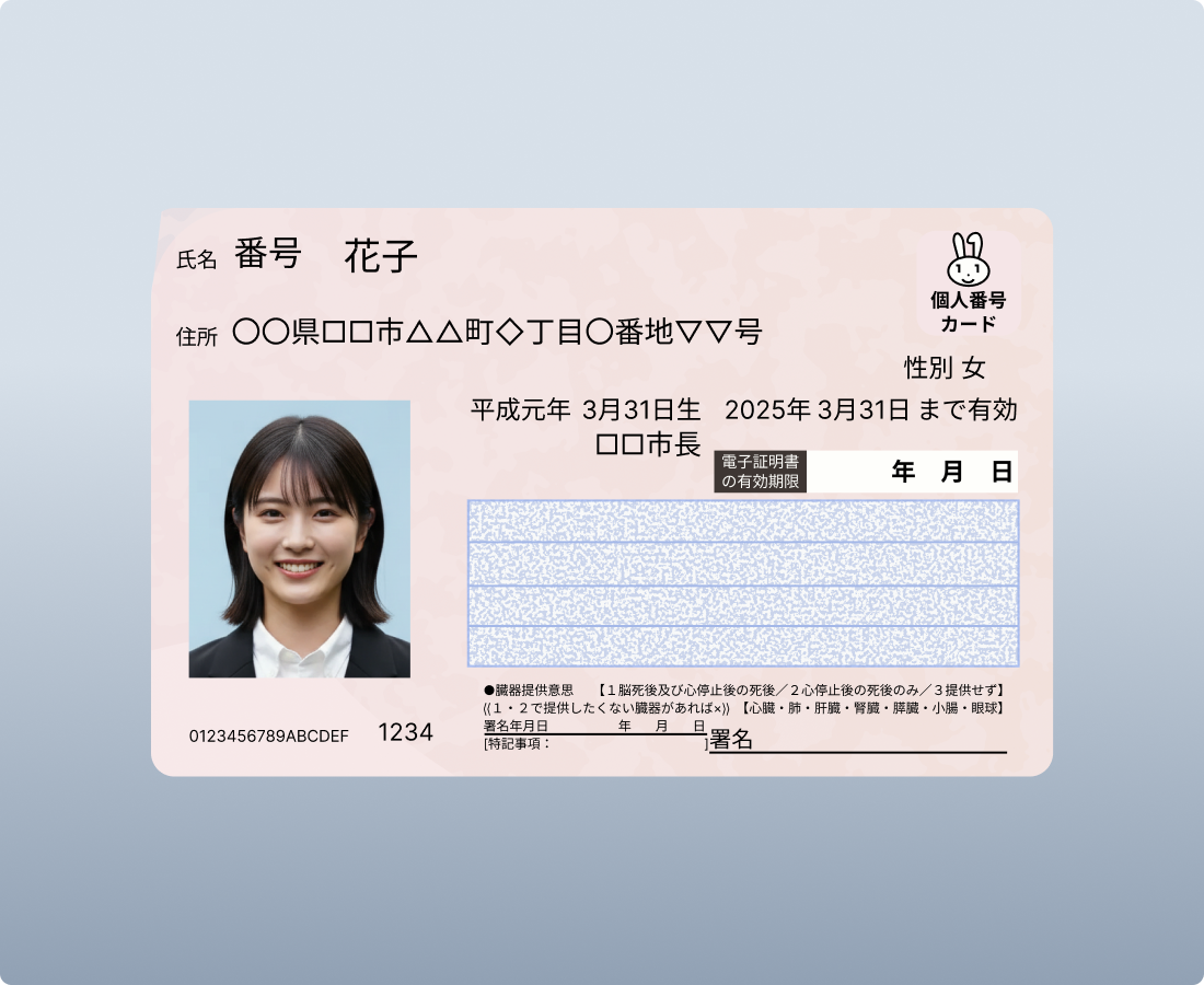 zaigzagaimagesnew-img