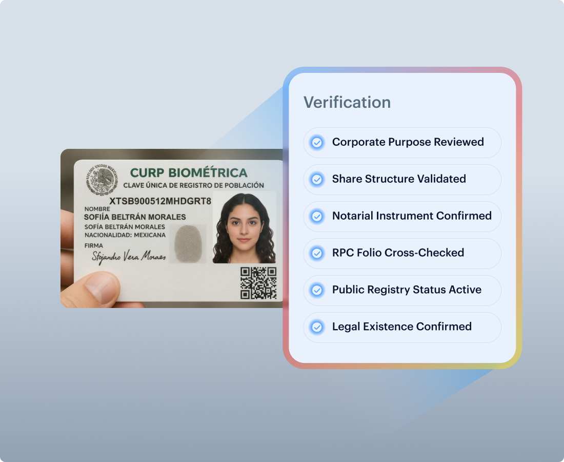 zaigzagaimagesnew-img