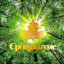 Company for Forests in Serbia (Srbijašume)
