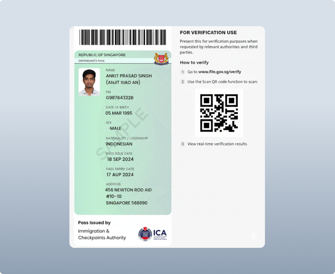 zaigzagaimagesnew-img