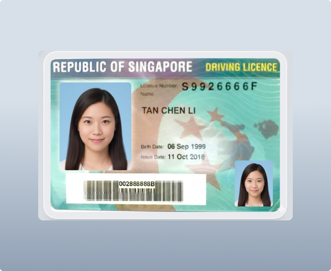 zaigzagaimagesnew-img