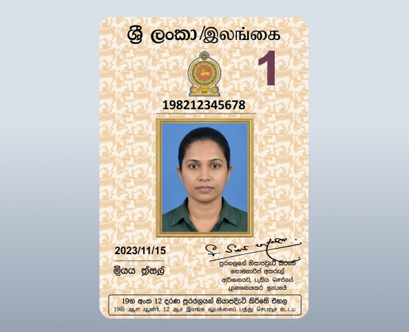 zaigzagaimagesnew-img