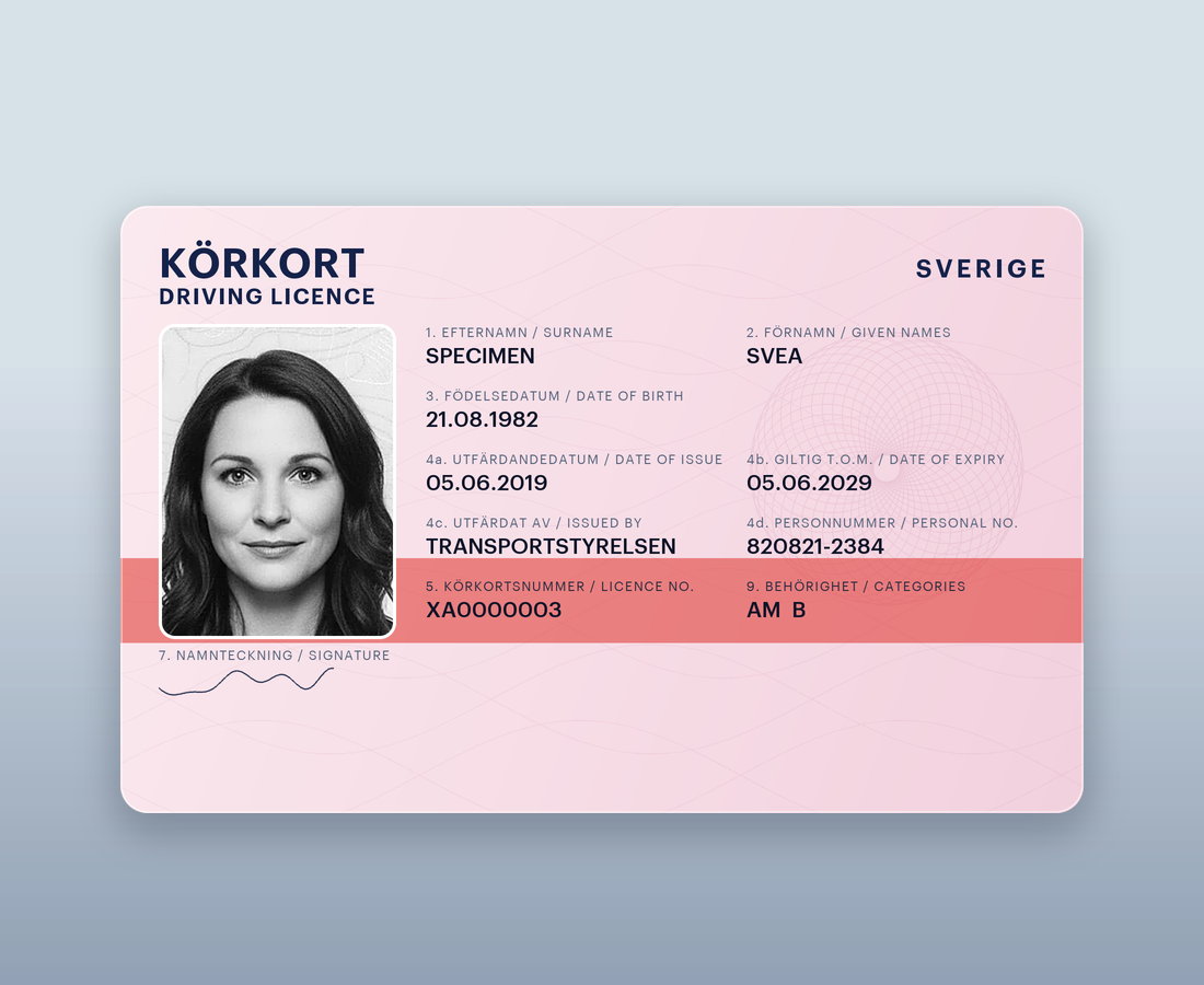 Swedish Driving Licence
