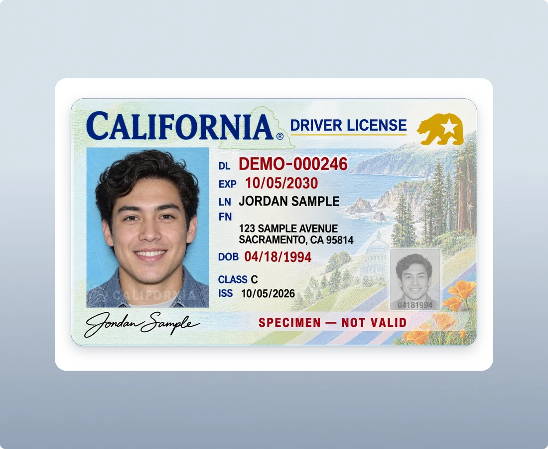 State Driver's License and ID Card