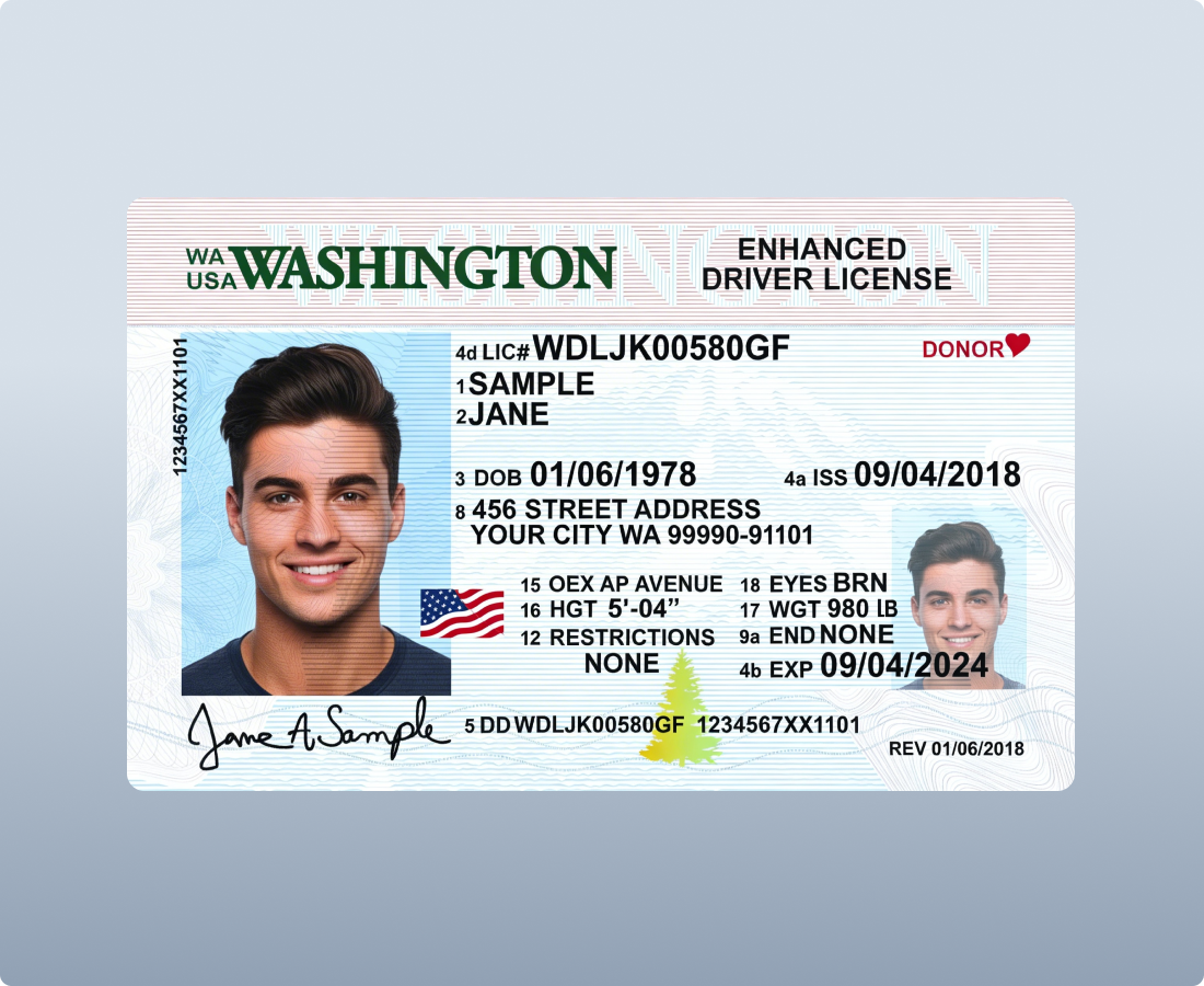 zaigzagaimagesnew-img