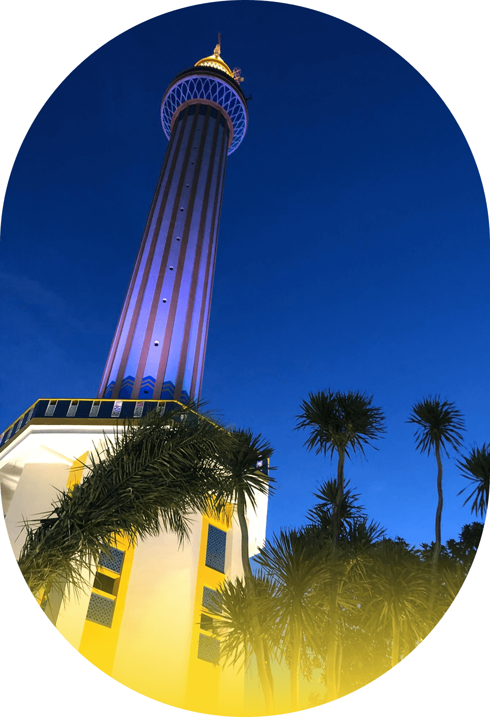 slider-image-3