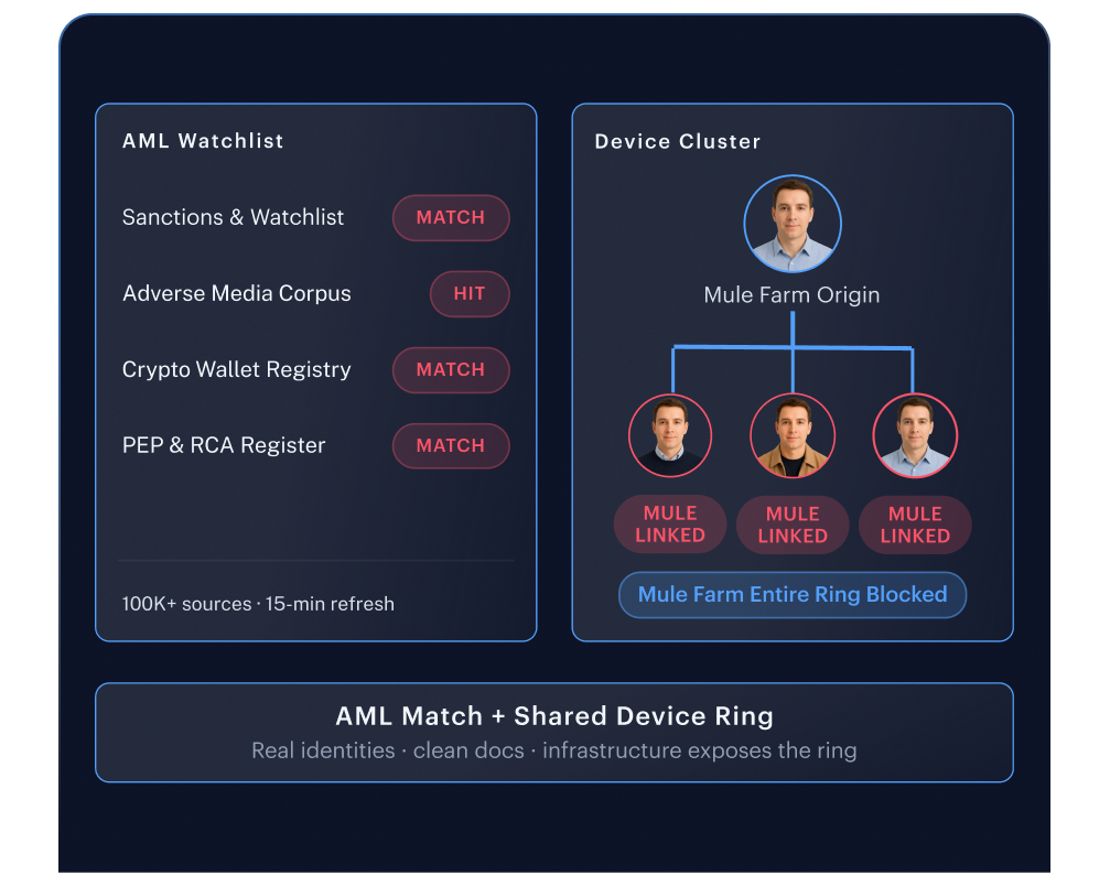 Money mule accounts &mdash; AML screening and device fingerprinting exposing the shared infrastructure connecting a mule ring behind genuine-looking applications